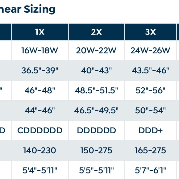 Rhonda Shear 2-pack Molded Cup Bra with Mesh Overlay - Picture 4 of 4